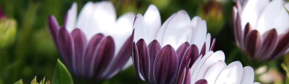 ddos攻击ip软件下载